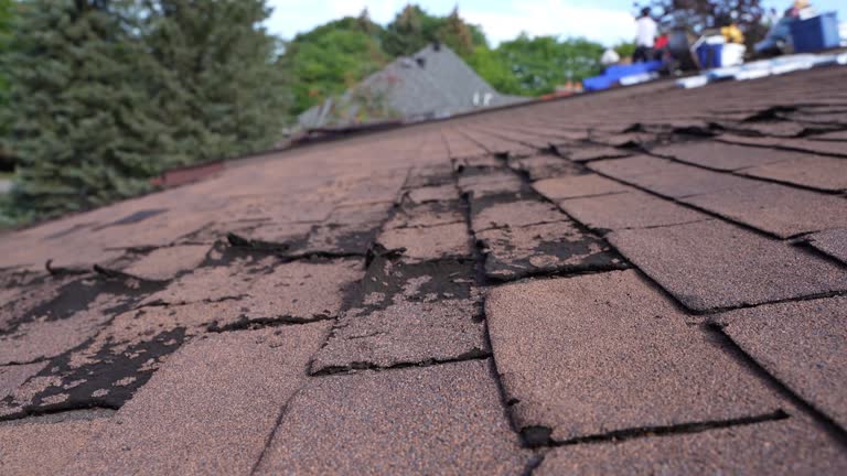 Best Gutter Installation and Repair  in Laughlin Af, TX