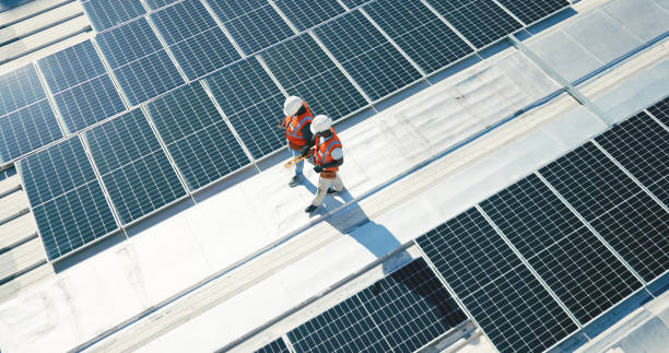 Best Roof Moss and Algae Removal  in Laughlin Af, TX